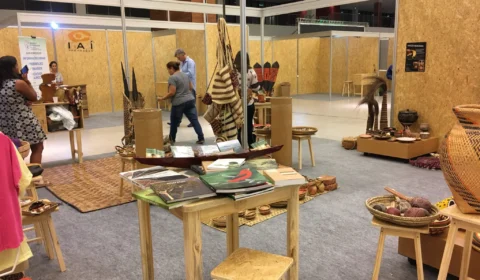 Fontes de energias renováveis para Amazônia são discutidas em feira