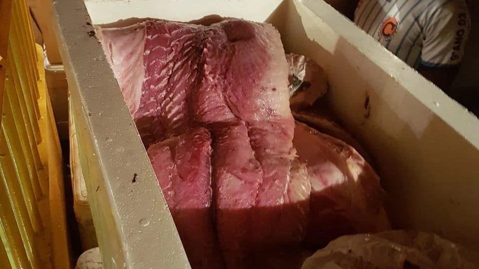 Uma tonelada de pescado ilegal é apreendida no porto de Manaus