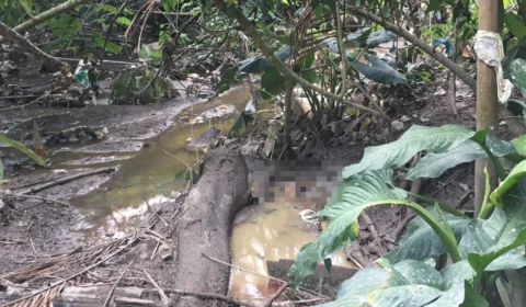 Corpo em estado de decomposição é encontrado em área de mata no Tarumã