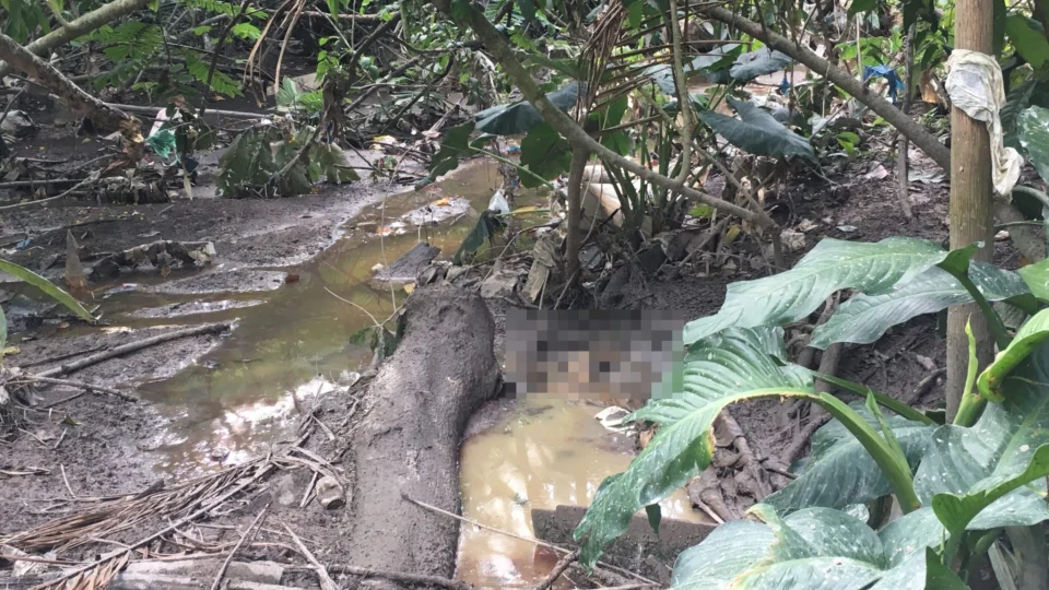 Corpo em estado de decomposição é encontrado em área de mata no Tarumã