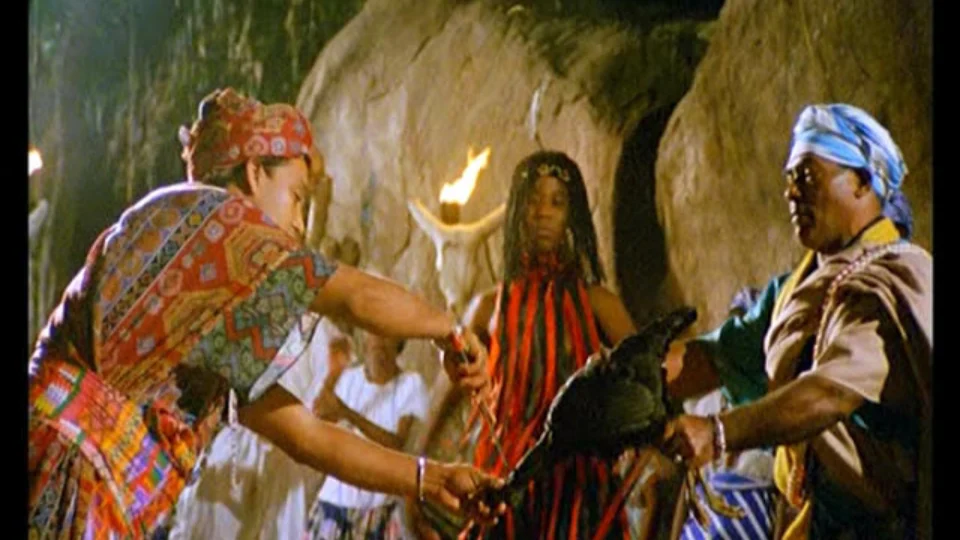 Sacrifício de animais em rituais africanos são legalizados pelo STF