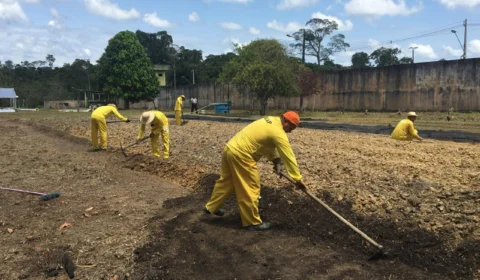 Mão de obra carcerária é tema principal em edital da Secretaria Penitenciária do AM