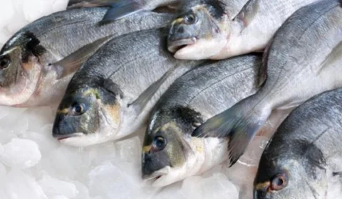 Peixe barato: Mais de 20 toneladas serão vendidas na Semana Santa em feira no AM