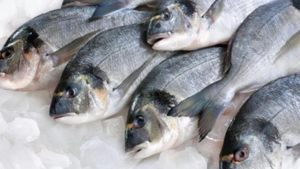 Peixe barato: Mais de 20 toneladas serão vendidas na Semana Santa em feira no AM