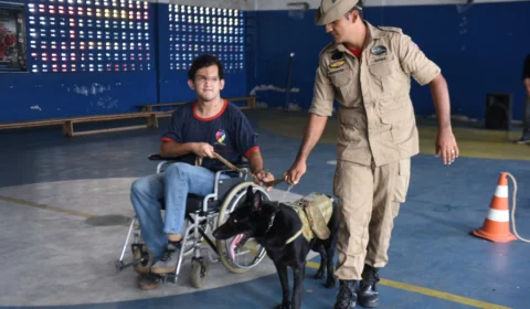 Cerca de 200 crianças com deficiência  recebem cinoterapia oferecida pelo Corpo de Bombeiros