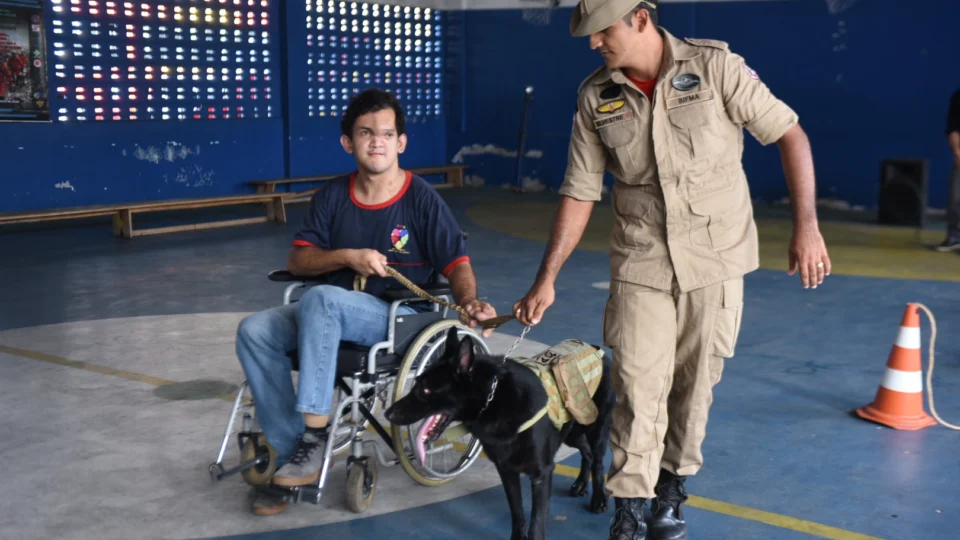 Cerca de 200 crianças com deficiência  recebem cinoterapia oferecida pelo Corpo de Bombeiros