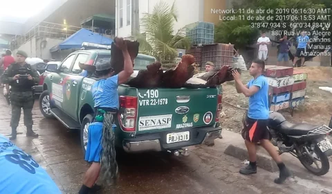 Mais de 1,7 toneladas de pescados são apreendidos em Manaus