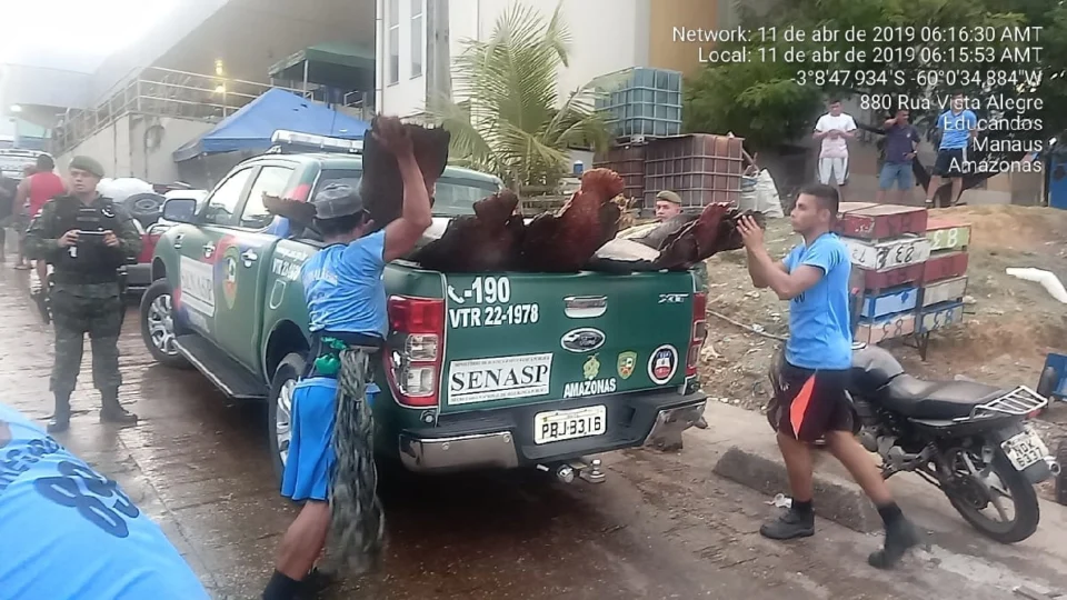 Mais de 1,7 toneladas de pescados são apreendidos em Manaus