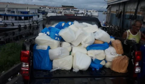 Mais de 5 toneladas de queijo sem procedência são apreendido pela Adaf