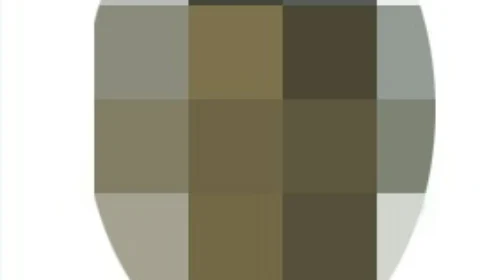 Homem que agrediu ex-companheira é preso em Manaus