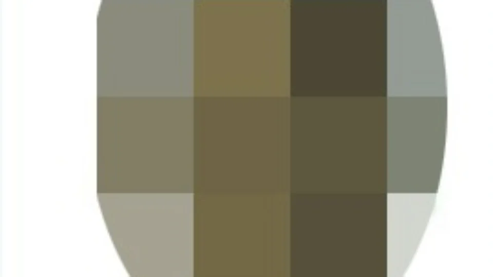 Homem que agrediu ex-companheira é preso em Manaus