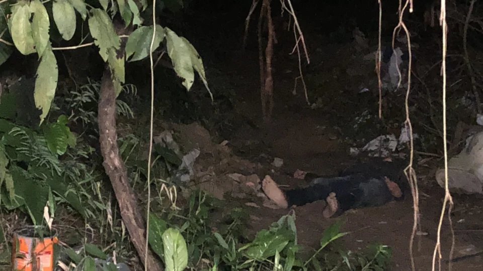 Homem é assassinado com tiro na cabeça em área de mata do bairro Dom Pedro