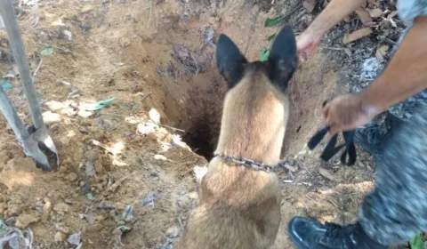 Cadáver é encontrado em decomposição no conjunto Viver Melhor 2, zona Norte