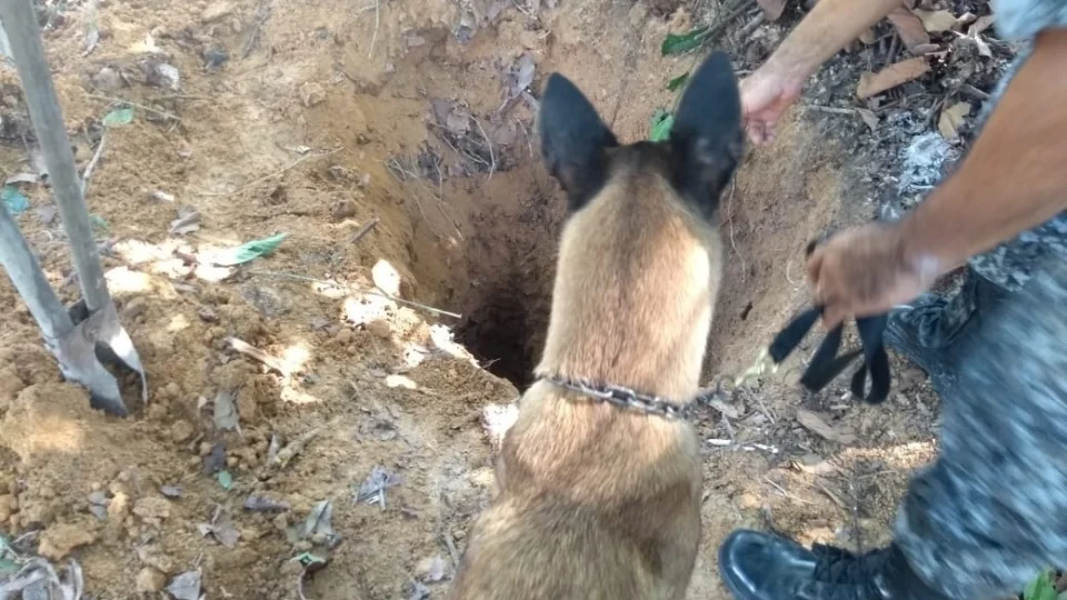 Cadáver é encontrado em decomposição no conjunto Viver Melhor 2, zona Norte