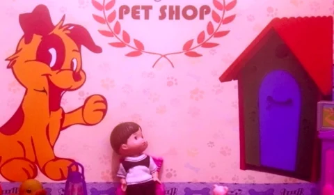 Cine Teatro Guarany exibe curtas-metragens do cineasta Davi Marinho em Manaus