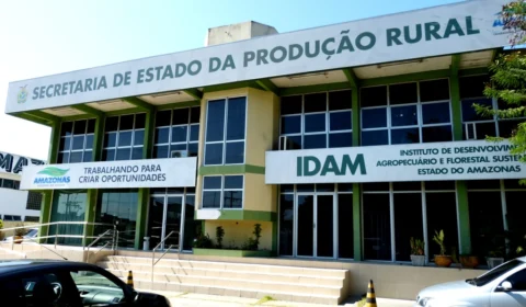 Confira o resultado do concurso do Idam para todos os níveis