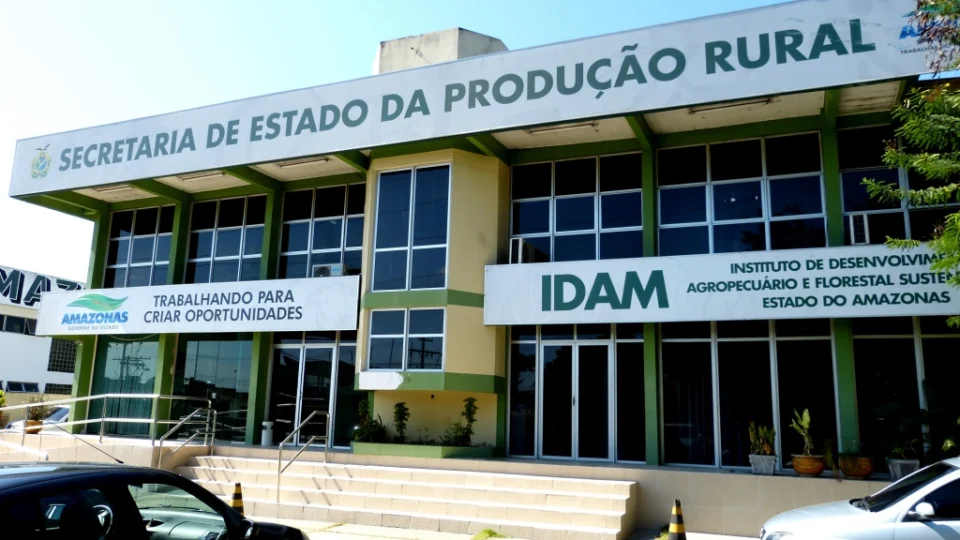 Confira o resultado do concurso do Idam para todos os níveis