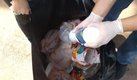 Cerca de 200 kg de alimentos impróprios ao consumo são apreendidos em Itacoatiara