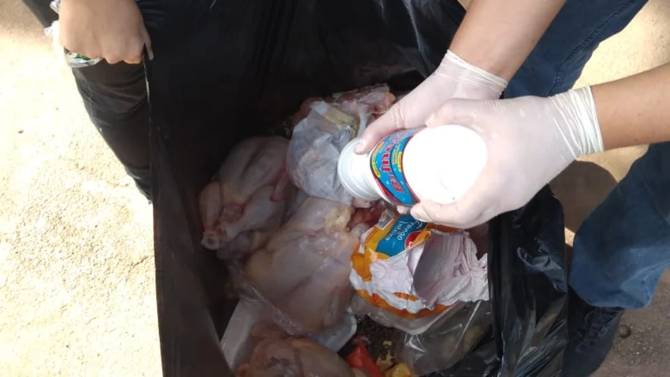 Cerca de 200 kg de alimentos impróprios ao consumo são apreendidos em Itacoatiara