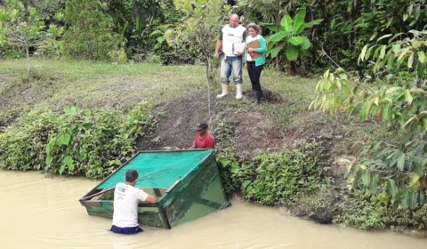 Município de Codajás é destaque no cenário do agronegócio no Amazonas