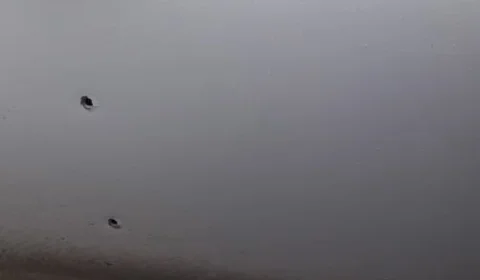 Casal é preso após troca de tiros com a polícia no Santa Etelvina