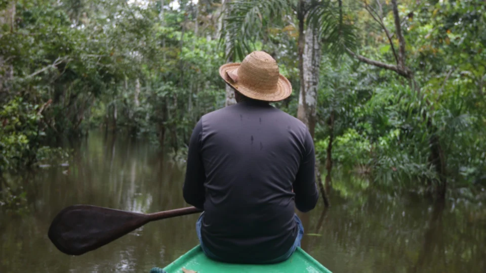 Lago Janauari pode se tornar refúgio ecológico para o turismo sustentável
