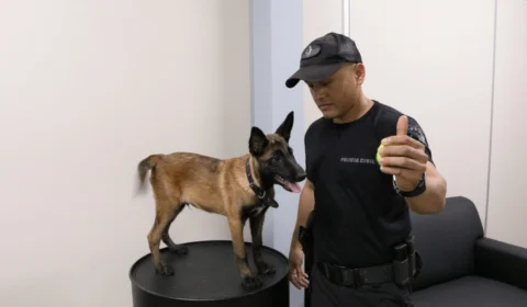 Grupo Fera, da Polícia Civil, tem primeiro cão policial