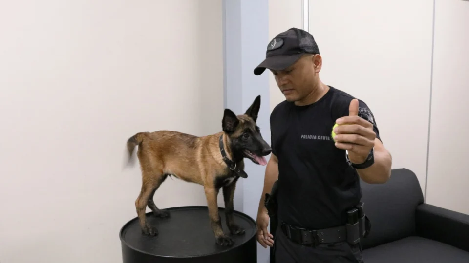 Grupo Fera, da Polícia Civil, tem primeiro cão policial