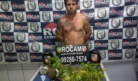 Homem é preso com cultivo de maconha em residência na Zona Norte