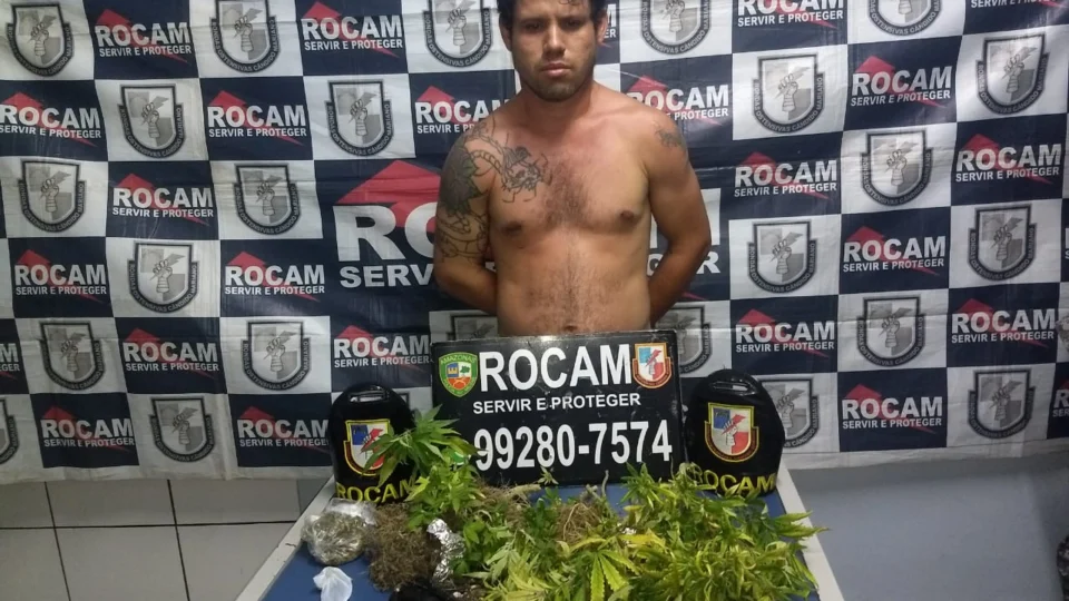 Homem é preso com cultivo de maconha em residência na Zona Norte