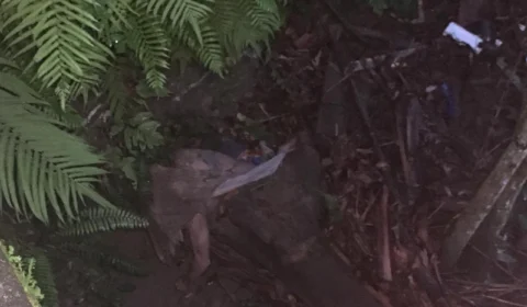 Vigilante é encontrado morto na Colônia Japonesa