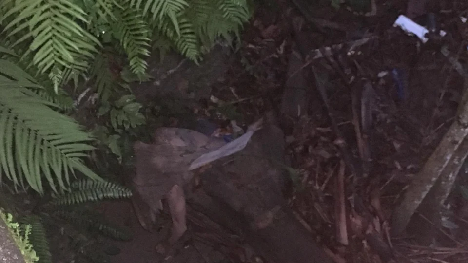 Vigilante é encontrado morto na Colônia Japonesa