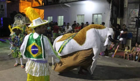 Festivais folclóricos acontecem nas cinco zonas da cidade com entrada gratuita