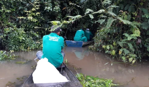FVS-AM confirma seis casos de Doença de Chagas em Uarini
