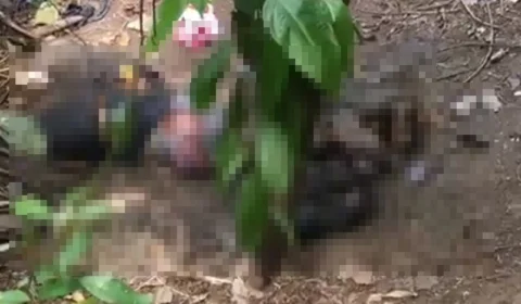 Corpo em decomposição é encontrado no Distrito II