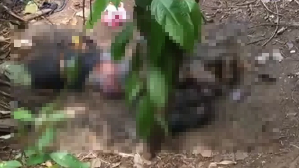 Corpo em decomposição é encontrado no Distrito II