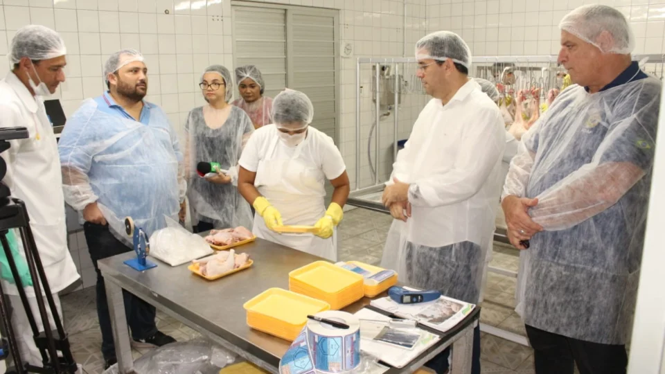 “Dia no Campo” no primeiro abatedouro de aves com o SIE no Amazonas.