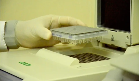 Amazonas ganha destaque nacional no combate e elucidação de crimes sexuais