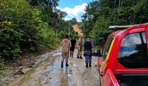 Pedreiro desaparecido é encontrado morto em área de mata na BR174