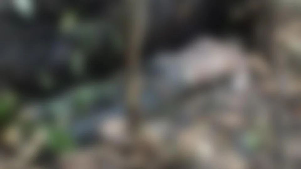 Irmão de adolescente assassinado em chácara, também é encontrado morto em ramal na BR 174