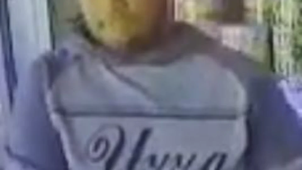 Você viu esses homens? Dupla é procurada por roubo a mercadinho no bairro Gilberto Mestrinho