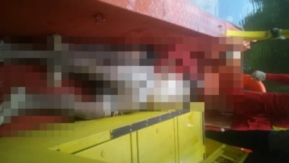 Dois homens são encontrados mortos e amarrados no Careiro da Várzea