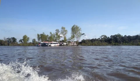 Embarcação com 40 passageiros encalha na orla de Parintins