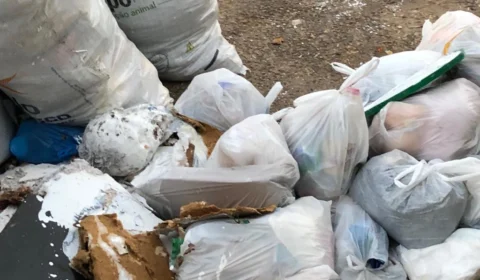 Crânio em decomposição é encontrado em lixeira, no bairro Santo Antônio