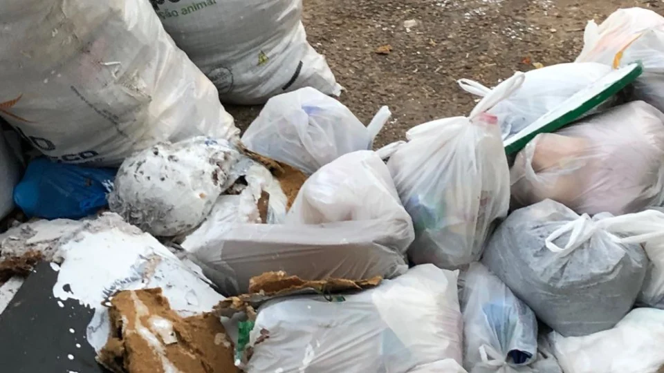 Crânio em decomposição é encontrado em lixeira, no bairro Santo Antônio