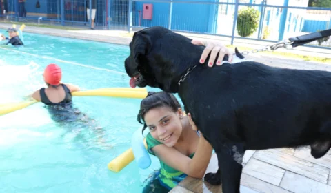 Terapia com cães beneficia mais de 100 crianças com deficiência em Manaus