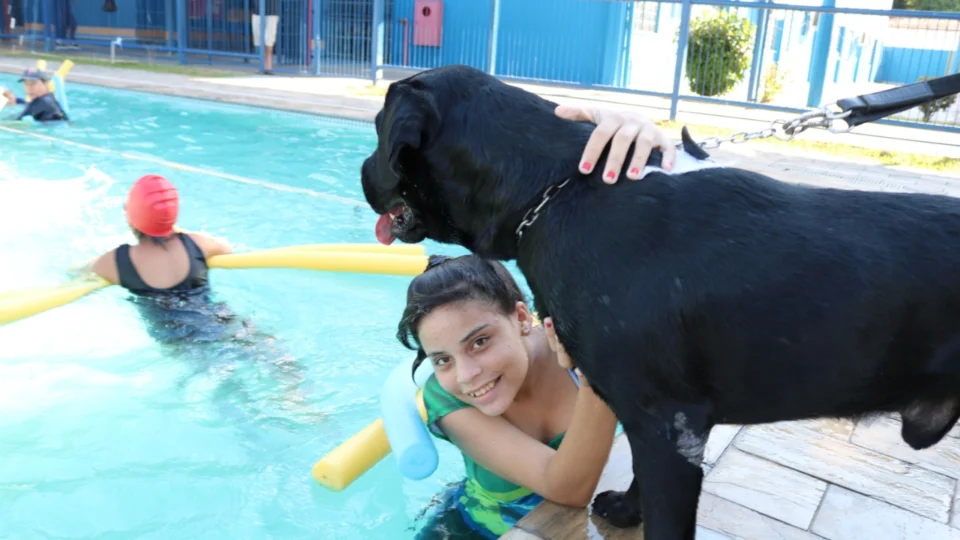 Terapia com cães beneficia mais de 100 crianças com deficiência em Manaus