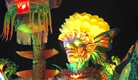 Uma jornada de paixão, criatividade e tradição: Festival Folclórico de Parintins 2019