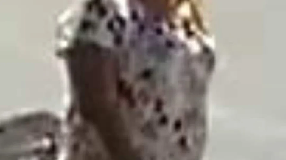 Você viu essa mulher? Ela é procurada pela PC por furto de R$ 50 mil na zona Sul de Manaus