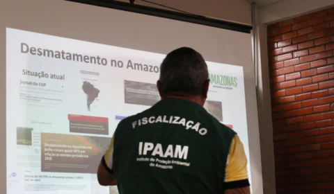 Estratégias são discutidas para previnir incêndios florestais